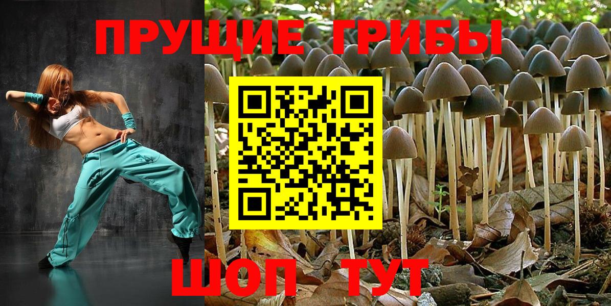 Галлюциногенные грибы MAGIC MUSHROOMS  Вход с VPN  Шарыпово 