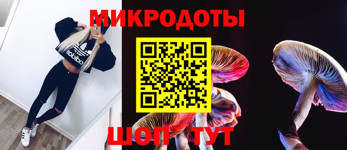 Псилоцибиновые грибы Cubensis Шарыпово